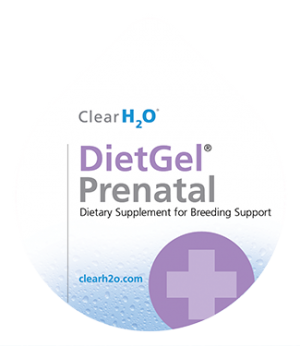CH2O Lid-DietGel Prenatal